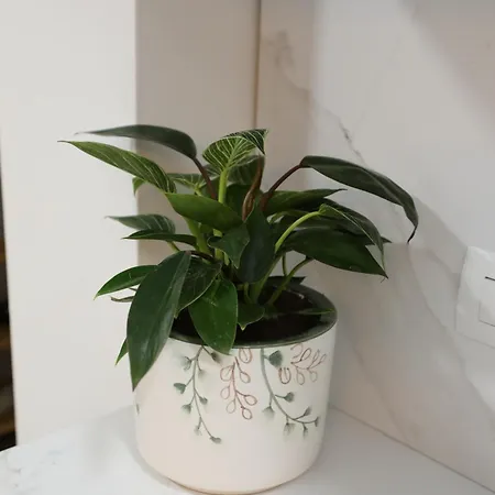 Mikaels Apartamento *