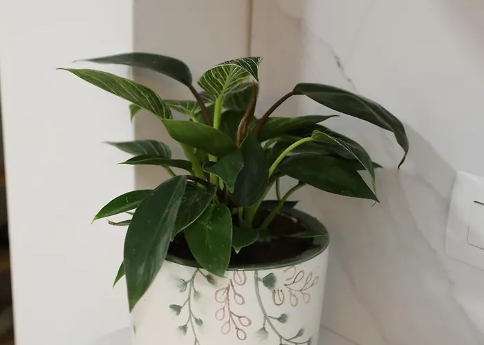 Mikaels Apartamento *